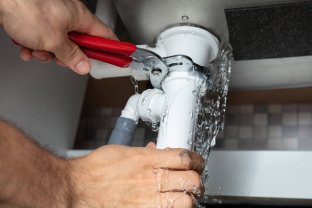 Best Mold removal after water damage  in Ringgold, LA
