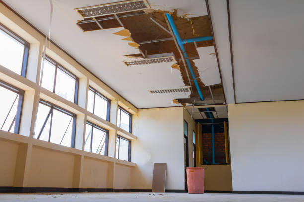 Best Flood damage cleanup  in Ringgold, LA
