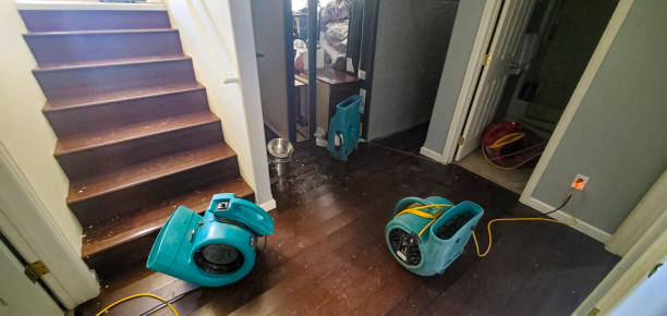 Best Flood restoration services  in Ringgold, LA