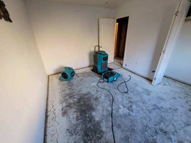 Water damage restoration insurance claims in Ringgold, LA