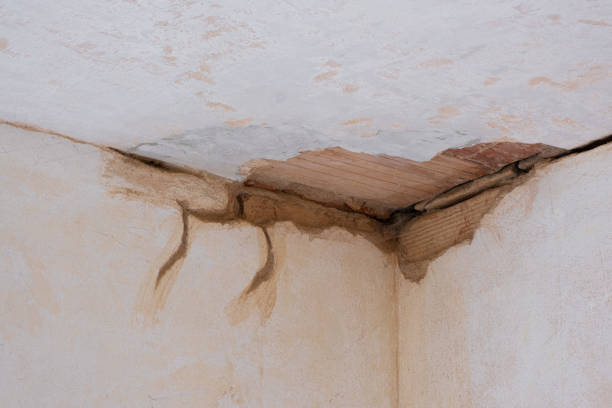 Best Ceiling water damage repair  in Ringgold, LA