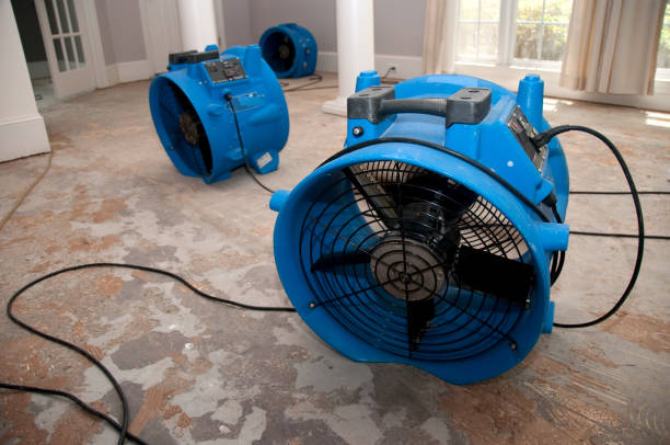 Ringgold, LA Water damage restoration Company