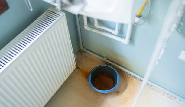 Best Water damage cleanup near me  in Ringgold, LA