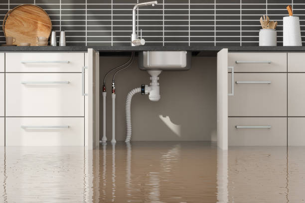 Best Water damage restoration near me  in Ringgold, LA