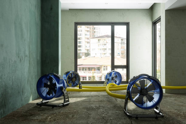 Best Emergency water damage restoration  in Ringgold, LA